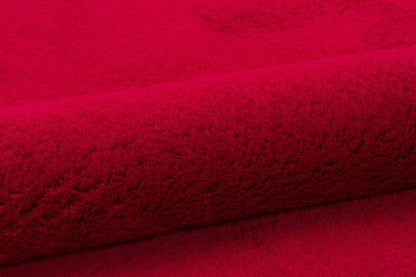 Red Fluffy Rug: Modern Fluffy Carpet with Tassels, Washable