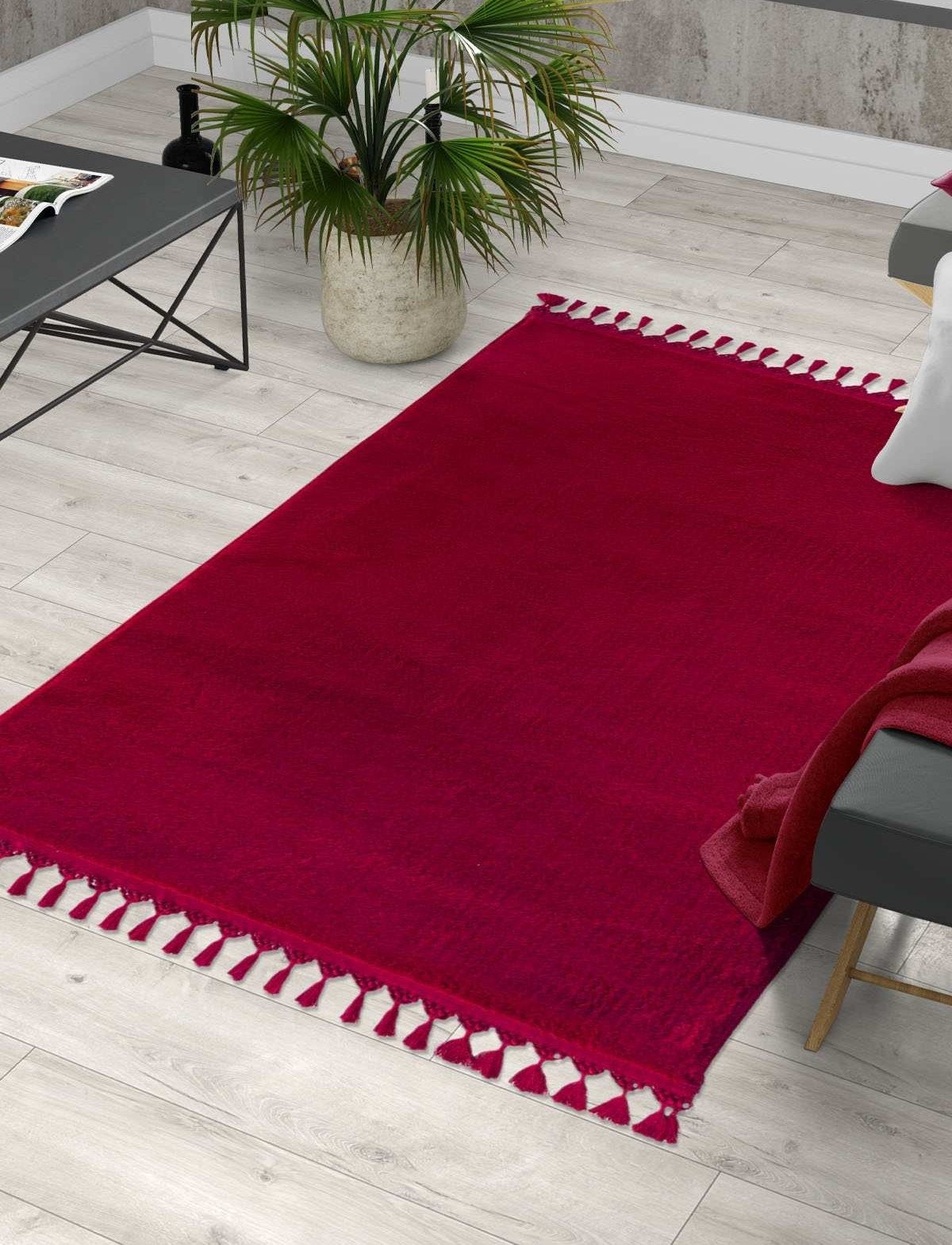 Red Fluffy Rug: Modern Fluffy Carpet with Tassels, Washable
