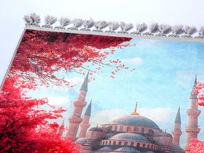 Turkish Prayer Rug, Ottoman Design, Soft Muslim Prayer Mat