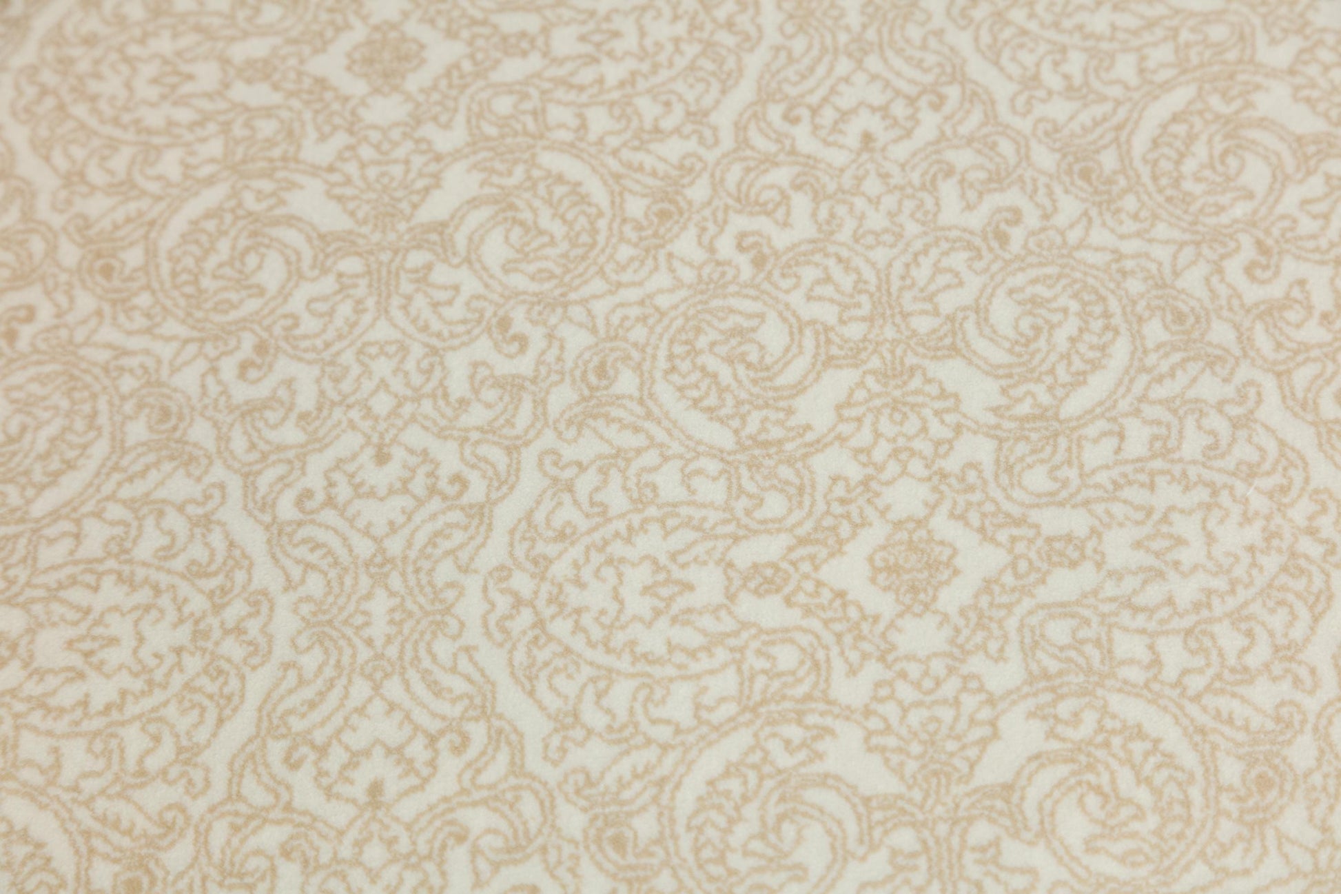 7x10 ft, Black Classic Silk Rug with paisley desing on the border, fine fringes