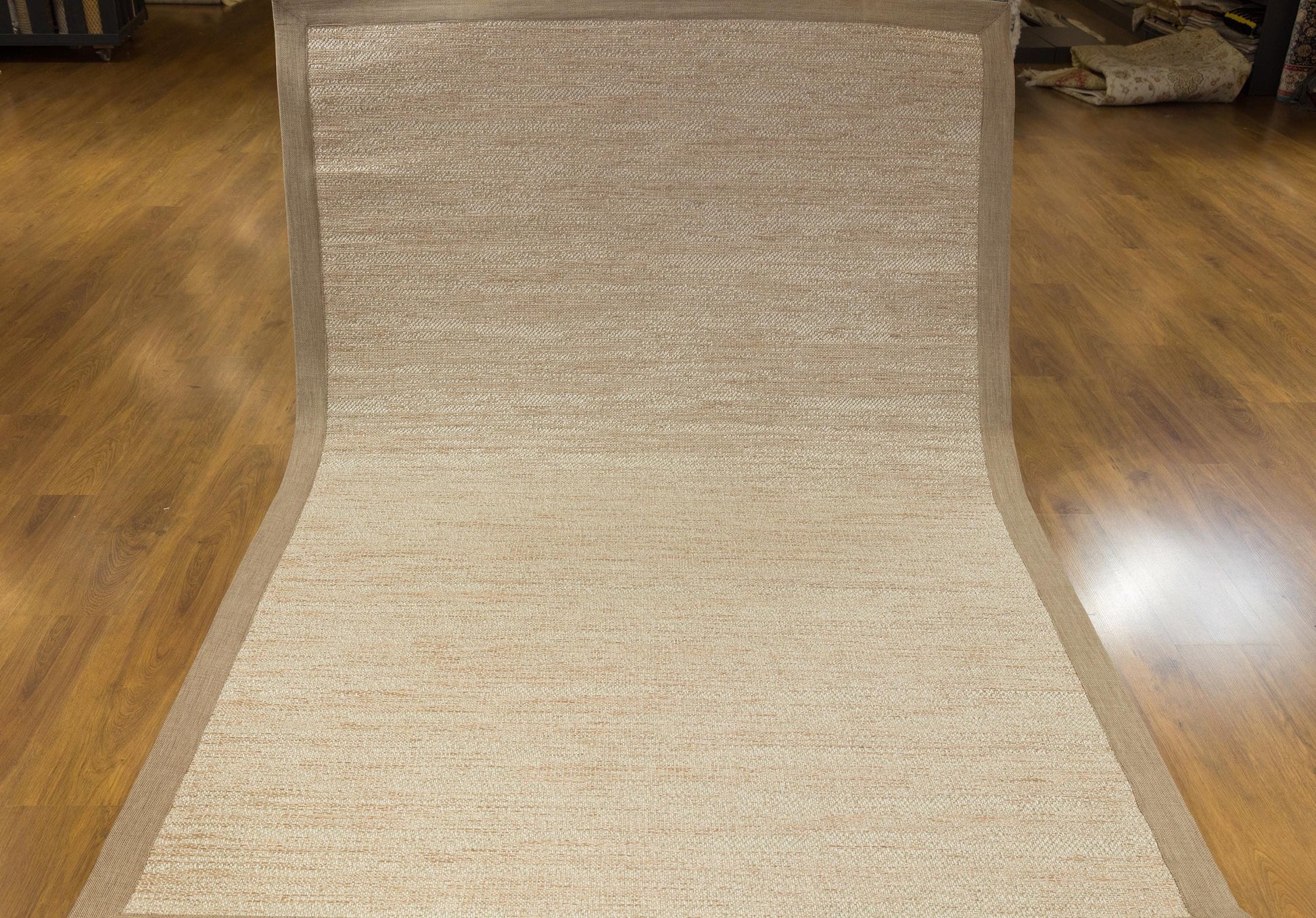 Beige Flatweave jute Rug: Modern Minimalist Area Carpet with Light Brown Border