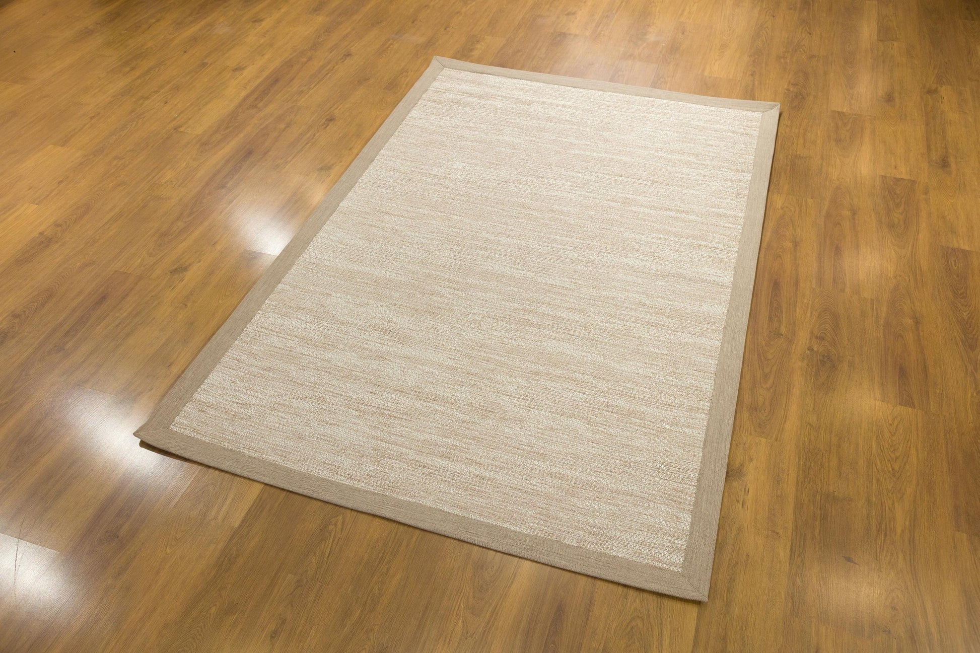 Beige Flatweave jute Rug: Modern Minimalist Area Carpet with Light Brown Border