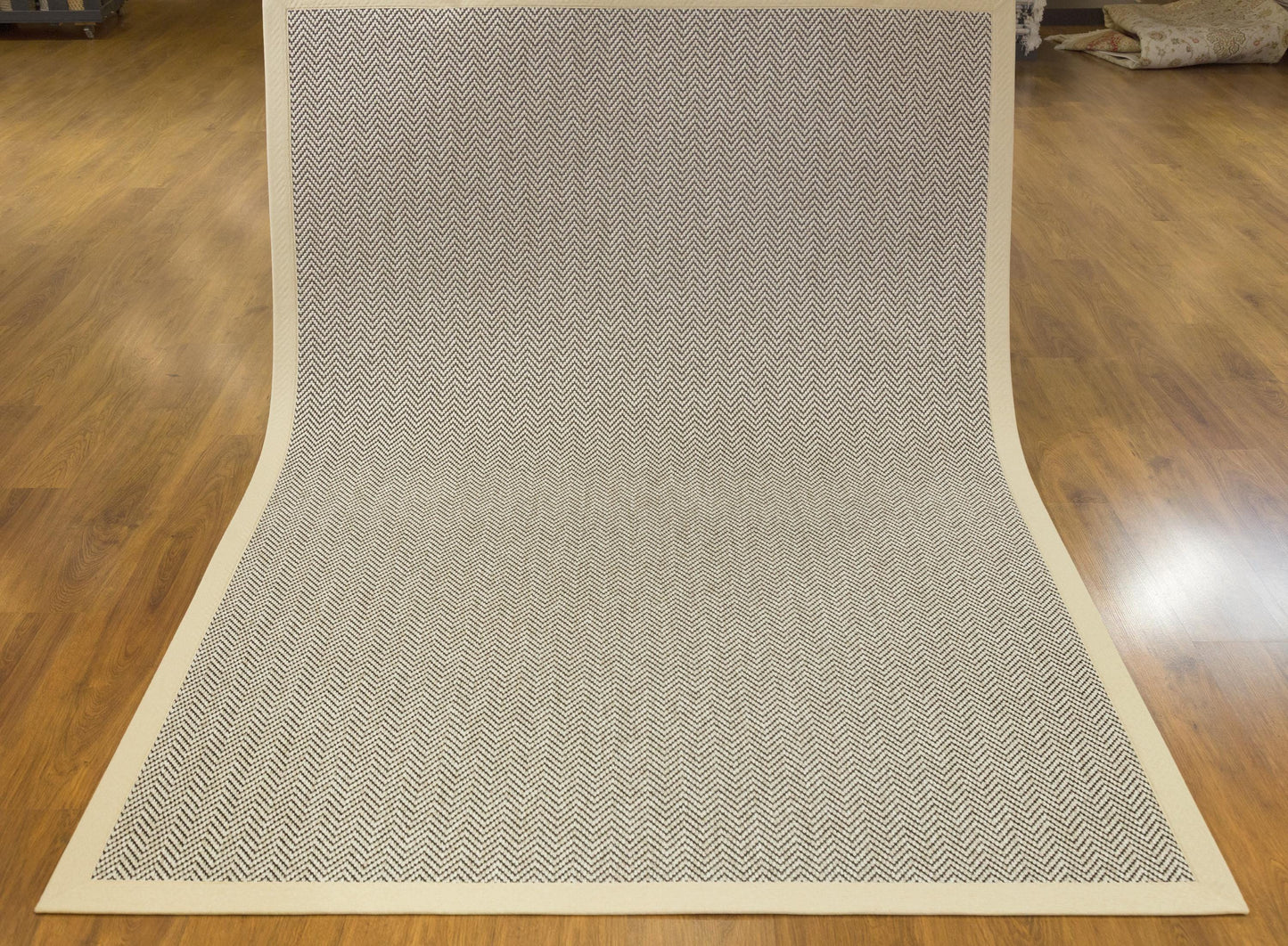 Modern Light Beige Area Rug: Cream Border, Herringbone Flatweave