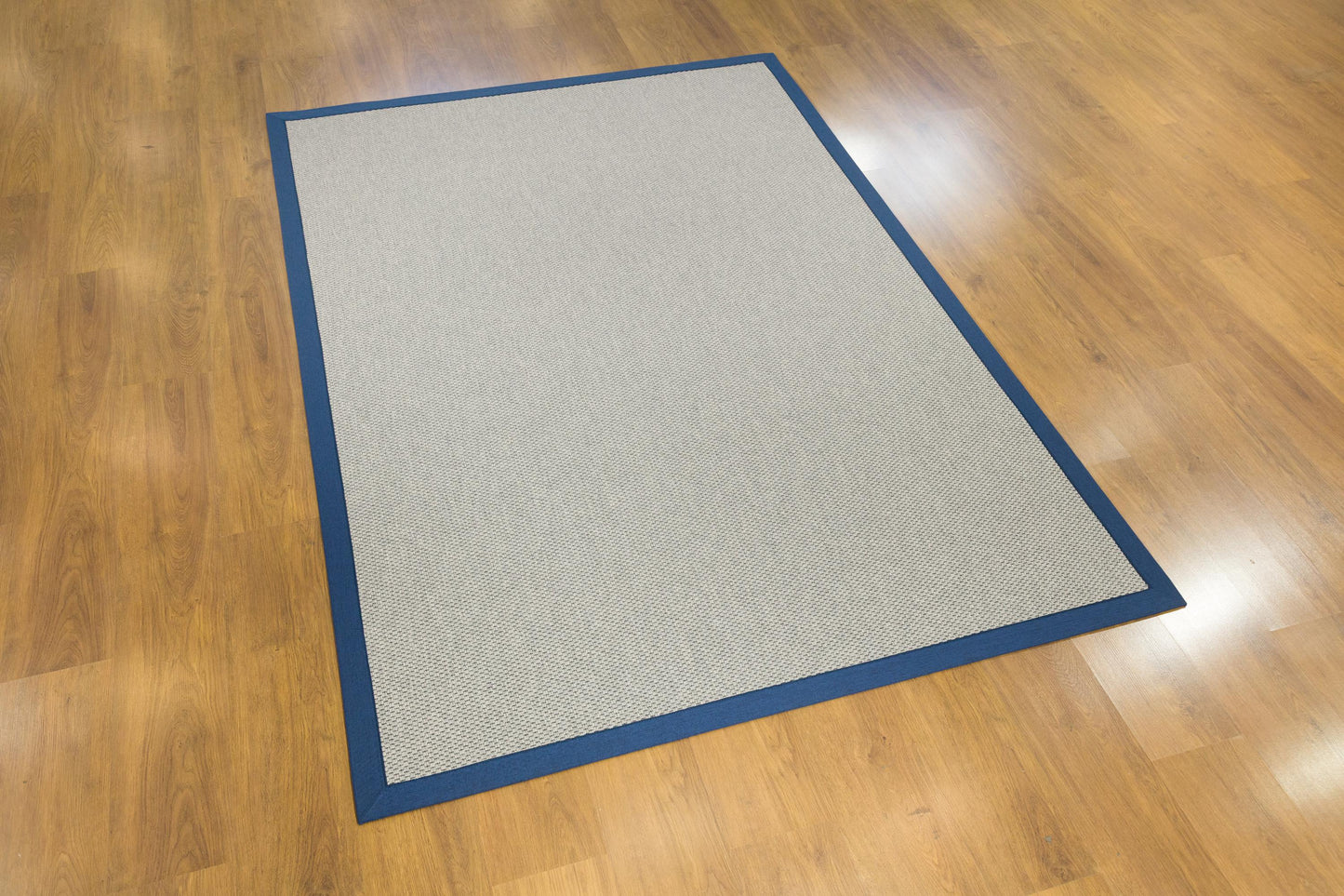 Modern Beige Jute Rug: Blue Fabric Border, Flatweave Outdoor/indoor carpet