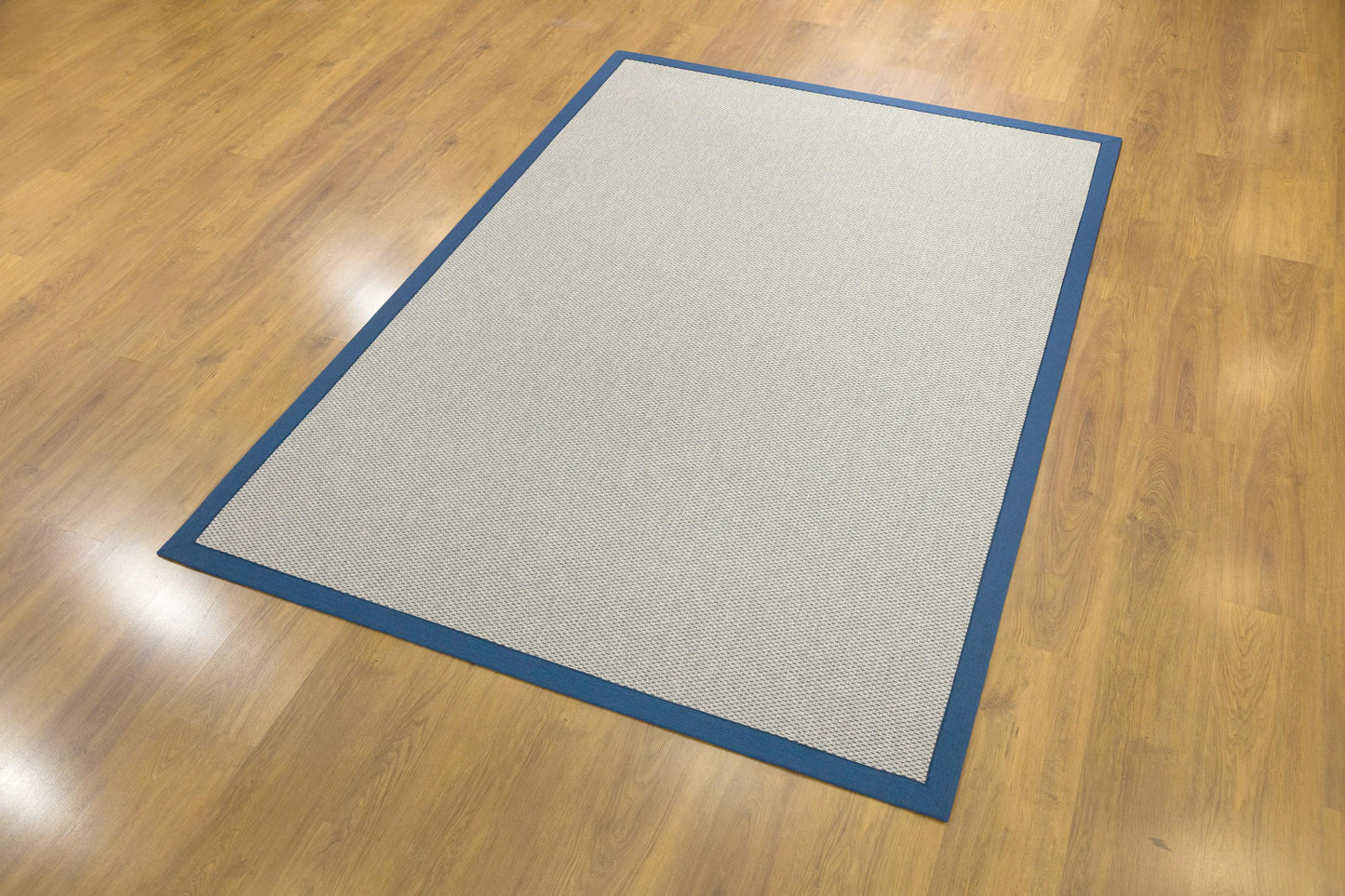 Modern Beige Jute Rug: Blue Fabric Border, Flatweave Outdoor/indoor carpet