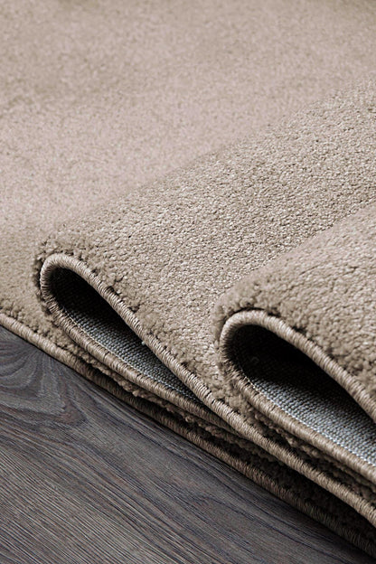 Soft Minimalist Brown Rug: Modern Light Carpet for Contemporary Spaces