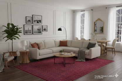 Vintage Red Oriental Afghan Rug: Washable Living Room Carpet