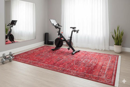 Red Vintage Oriental Afghan Rug: Washable Red Carpet with Tassels