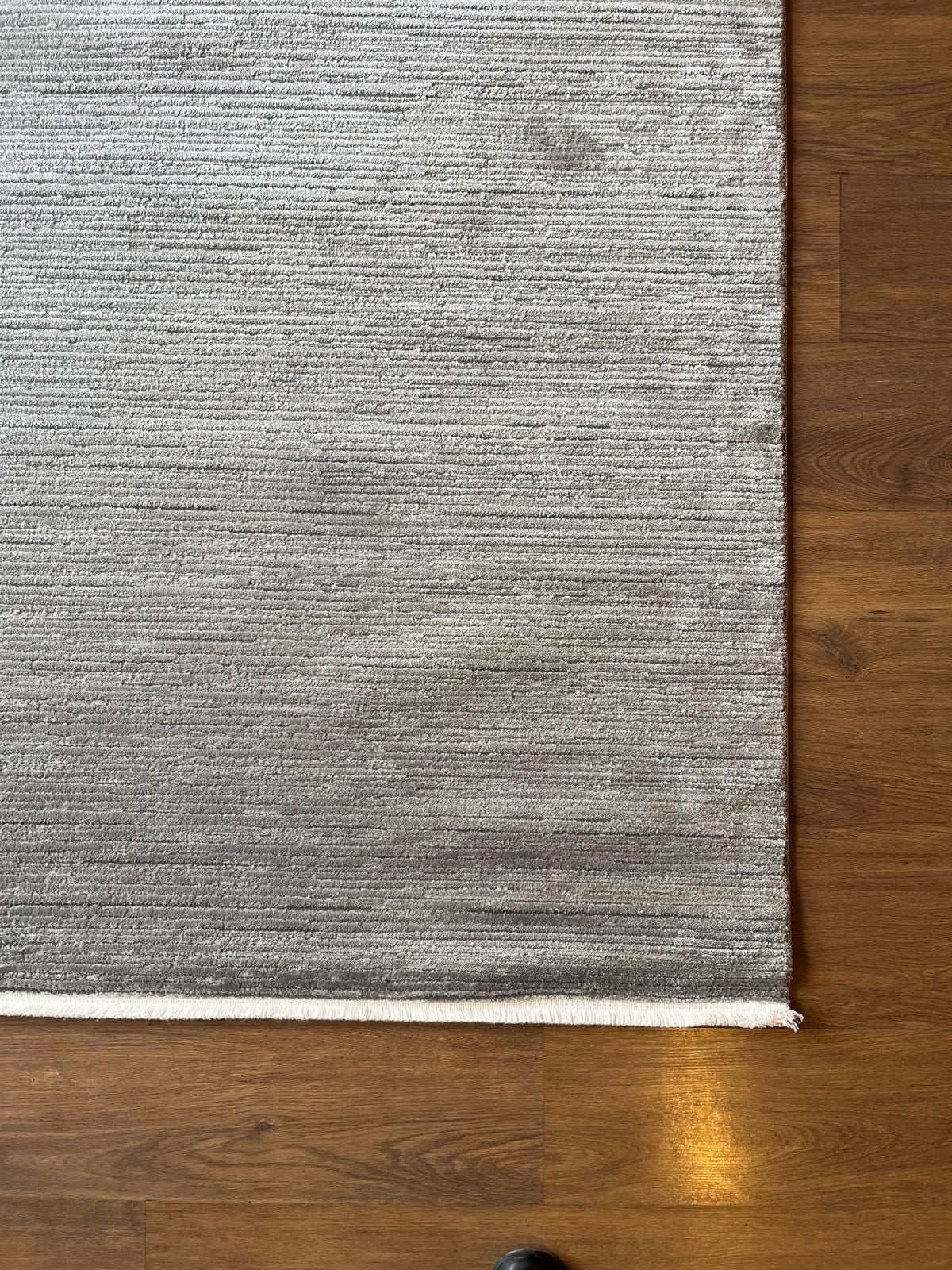 Modern Gray Area Rug with Tassels: Washable, Anti-Allergic Carpet