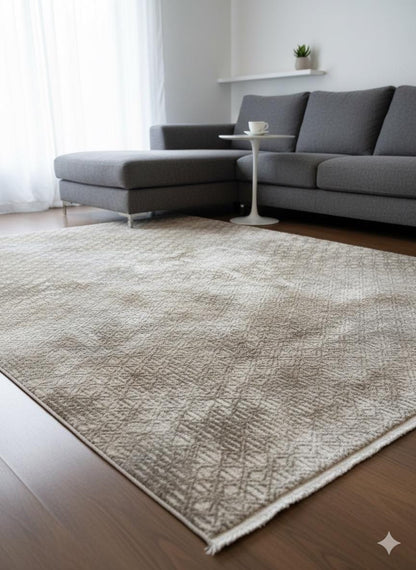 Contemporary Beige Abstract Area Rug: 160x230cm Soft Gray and Beige Fine Quality Carpet