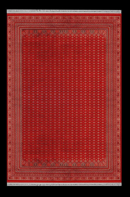 Red Bokhara Area Rug – Silk-Feel Viscose Oriental Carpet
