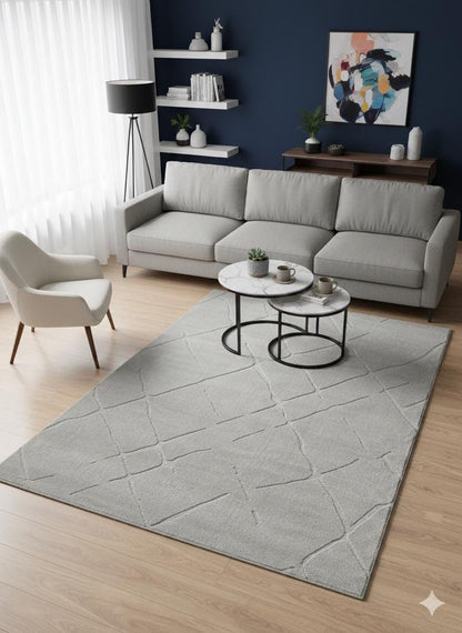 Plain Gray Area Rug: Minimalist Grey Carpet for Contemporary Living Spaces