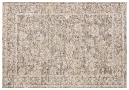 Distressed Oriental Area Rug – Faded Beige Grey Medallion Carpet, Low Pile