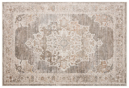 Distressed Vintage Persian Style Area Rug – Muted Taupe, Gray, Cream Medallion Carpet