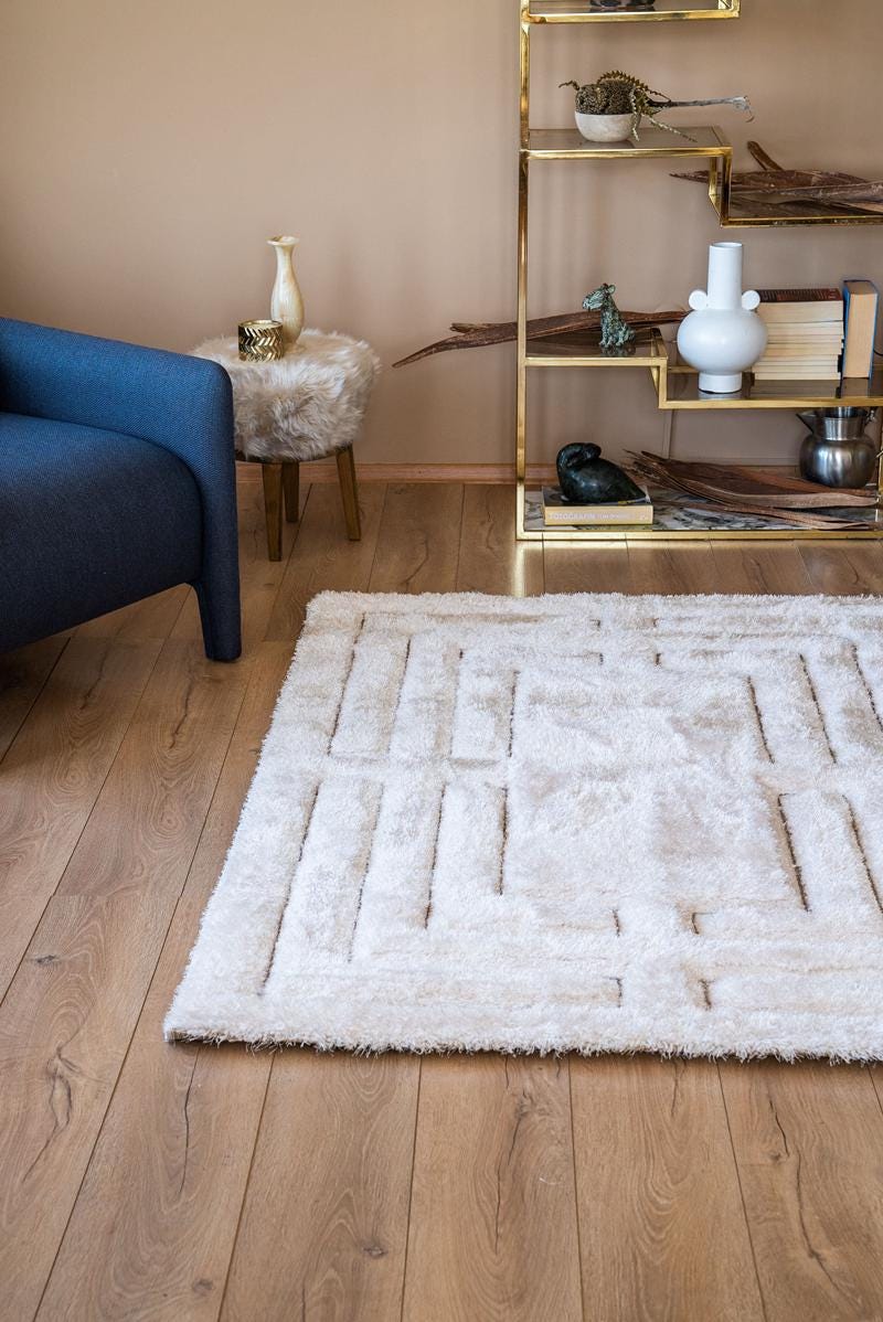 Contemporary Beige Shaggy Area Rug with Geometric Border – Soft High Pile Modern Carpet